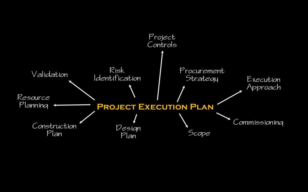 The Right Mix of Management for Your Project Success